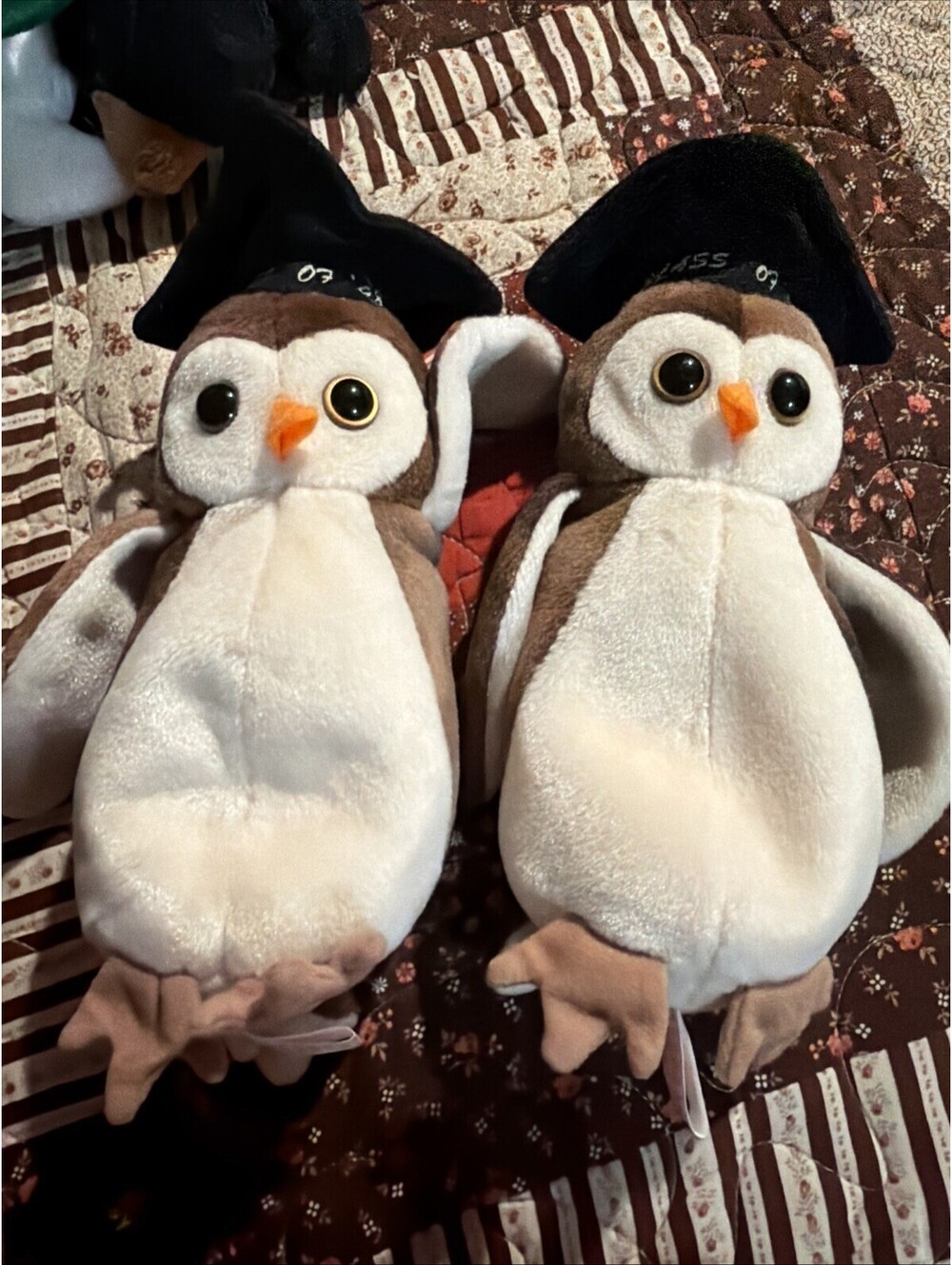 Ty Beanie Babies Wise Class of 1998 Graduation Owl Bird with Tag